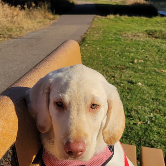 Meet your Posher, Scott - Picture 1 of 1